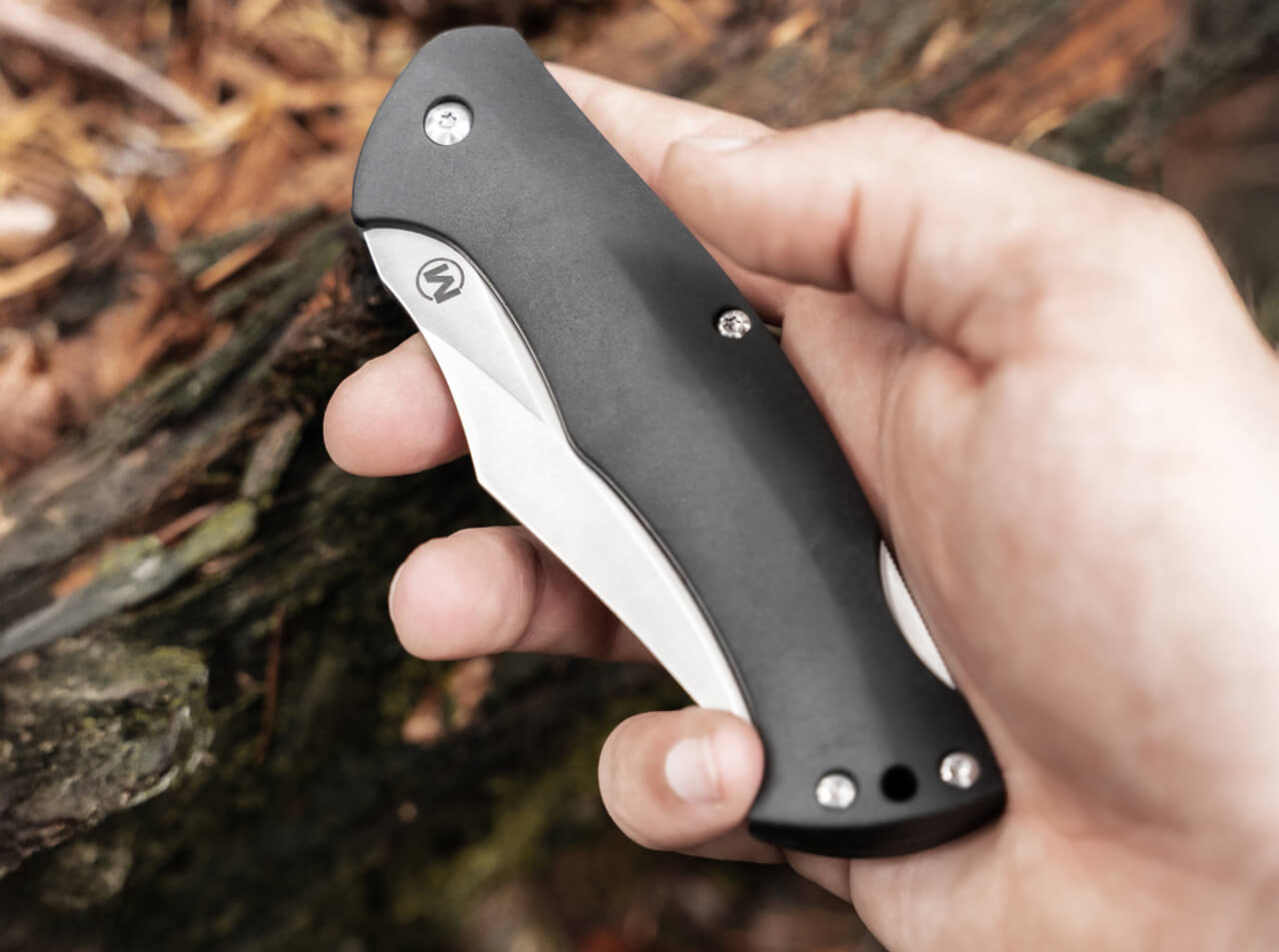 Magnum Echidna