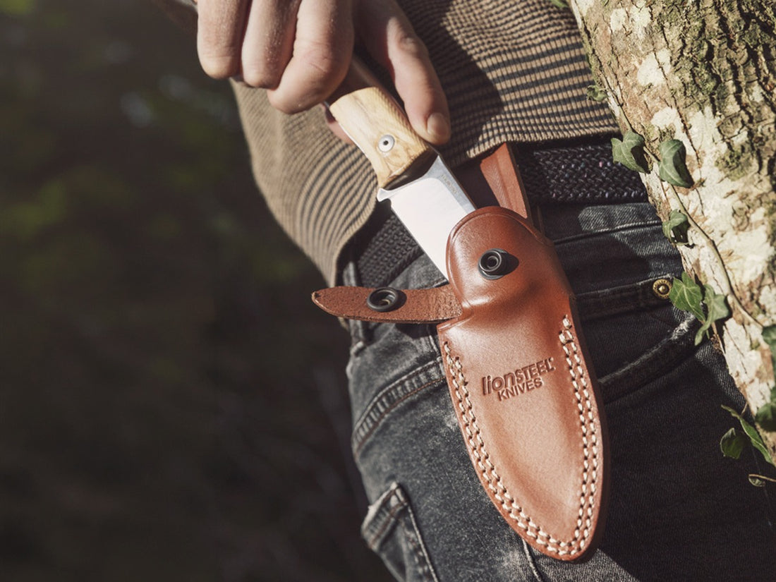 LionSteel fixed blade knife with olive wood handle being drawn from a brown leather belt sheath outdoors