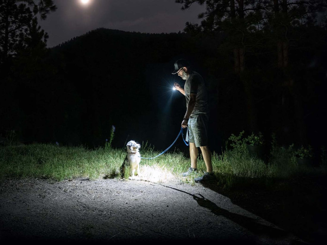 Man walking his dog on a dark forest path at night, lighting the way with a Fenix EDC flashlight
