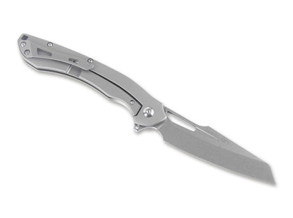 Kizer Raja