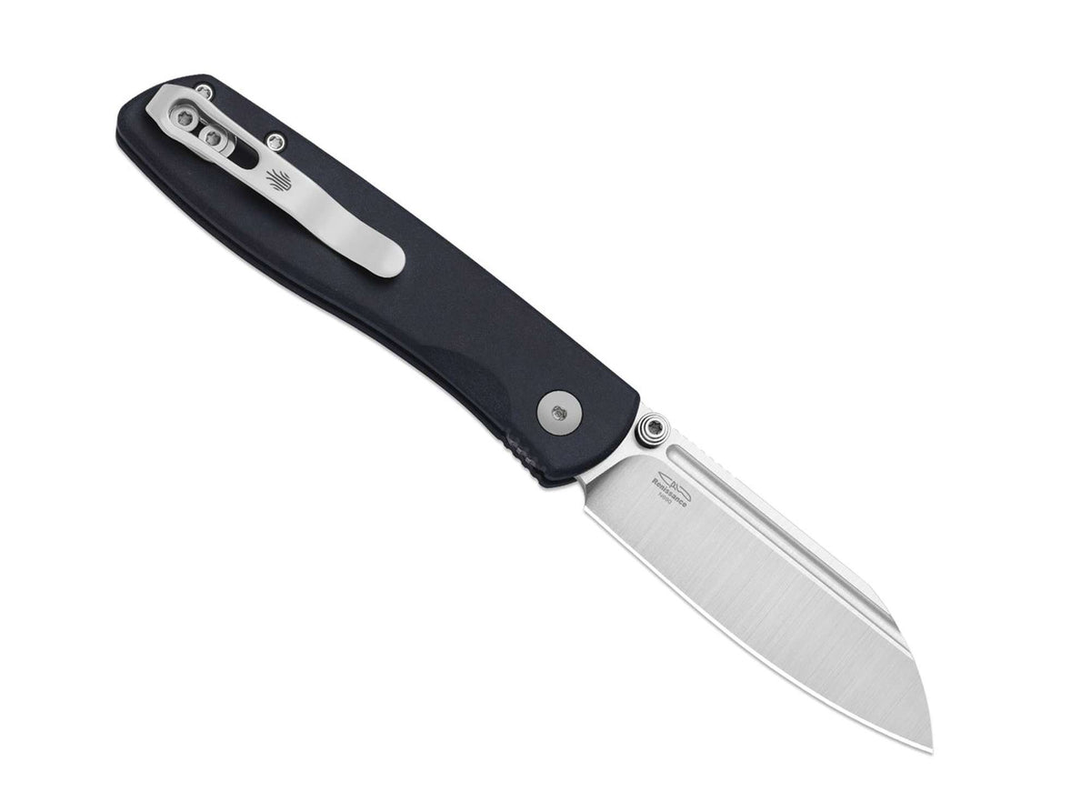 Kizer Renissance N690 Blue Richlite
