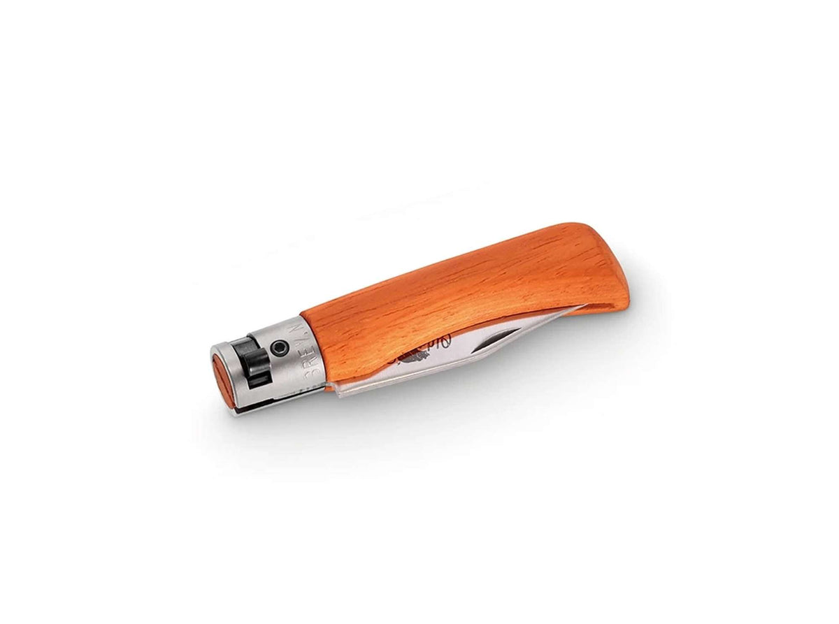 Old Bear Full Color XS Orange