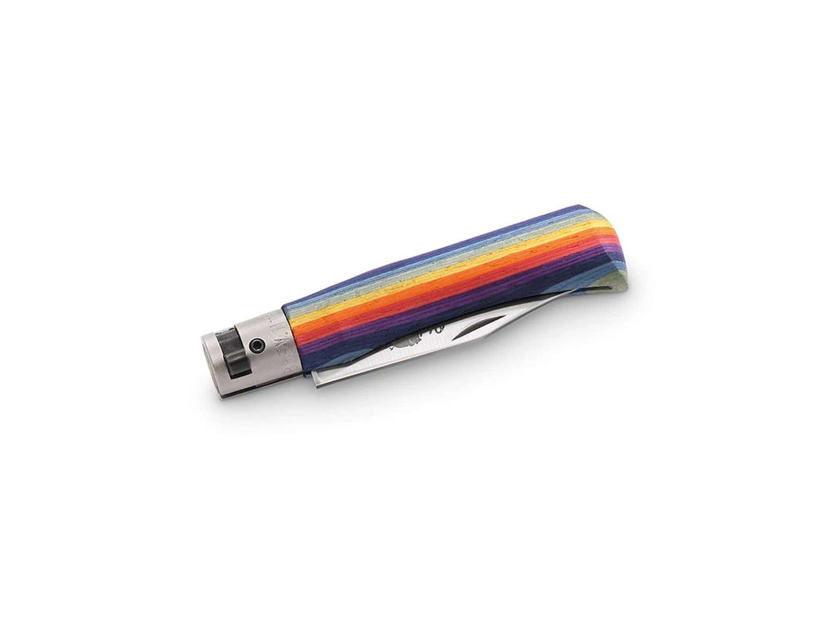 Old Bear Junior S Rainbow
