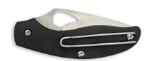 Byrd Tern
