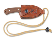 Condor Beetle Neck Knife