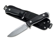 LionSteel M5 G10 Satin