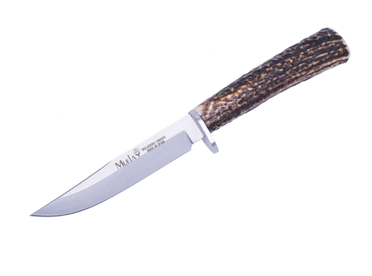 Muela GRED-12A