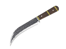 Condor Invictus Corvo
