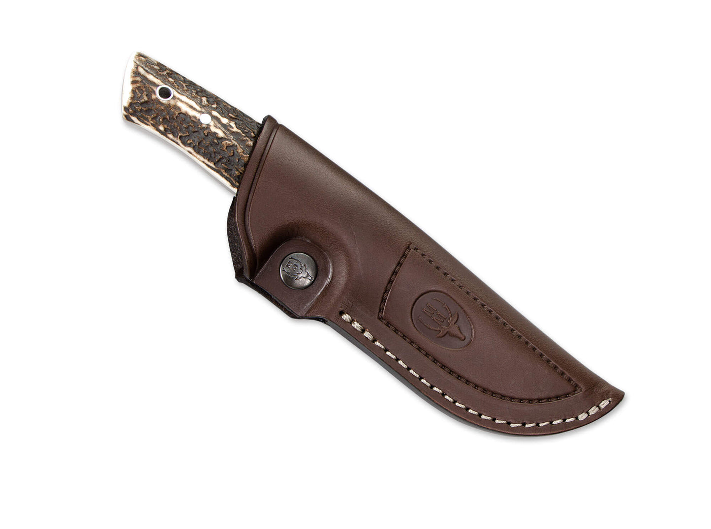 Muela Kodiak Stag