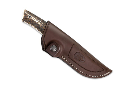 Muela Kodiak Stag