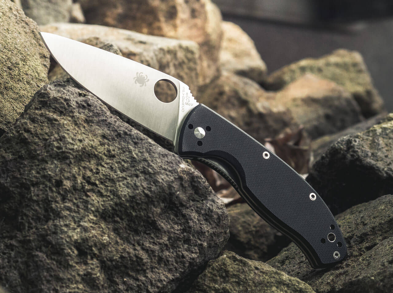 Spyderco Tenacious Satin Plain